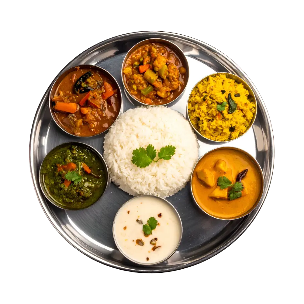 tiffins-hostelbee-vector